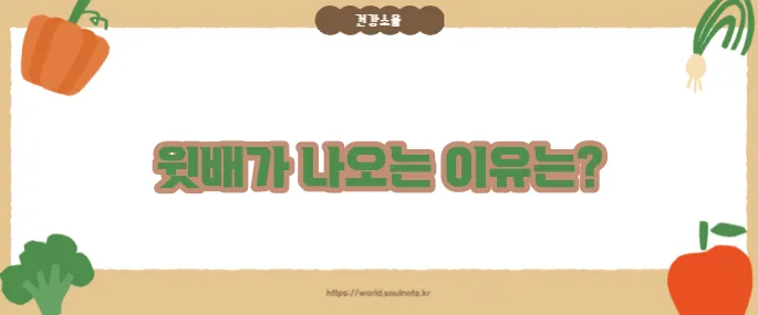 윗배가 나오는 이유 (+복부비만 원인)