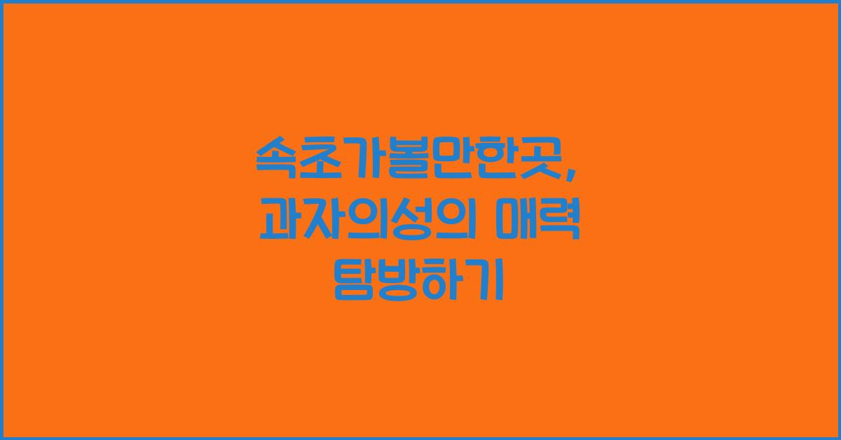 속초가볼만한곳,과자의성
