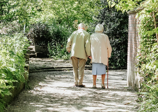 단백질 보충제 : 고령자