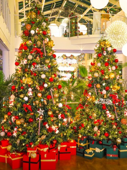 서울 근교 크리스마스 테마 분위기 맛집 Best 5