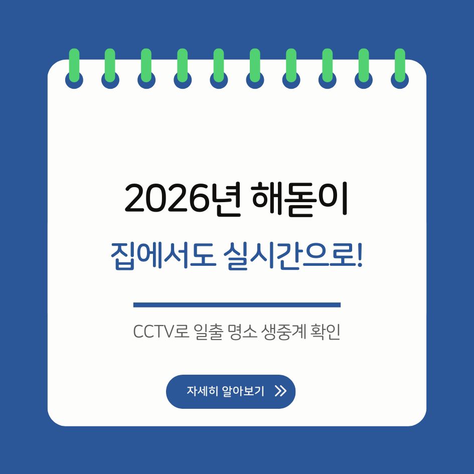 2026 새해 해돋이 CCTV 생중계 화면
