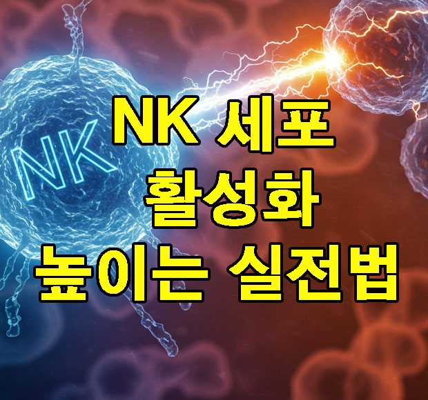 NK 세포 활성화 방법