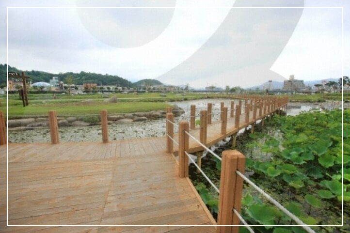 장흥 가볼만한곳 베스트10 탐진강 생태습지원