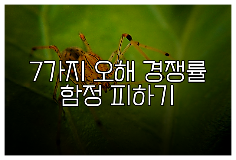 7가지 오해 경쟁률 함정 피하기