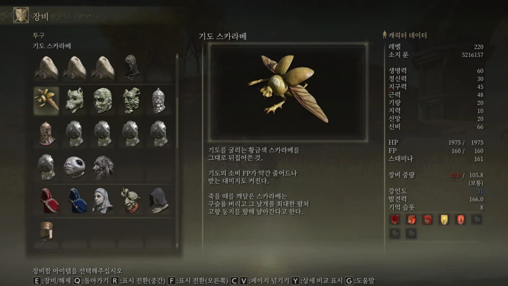 금 스카라베