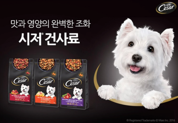 강아지 사료 최저가 확인