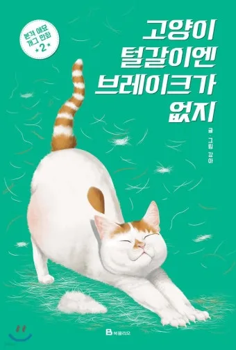 고양이 털갈이, 털갈이시기, 관리법, 영양케어_29