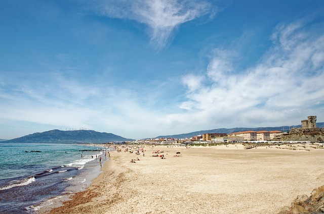 미국 상호 관세