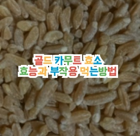 골드-카무트-효소-효능-부작용