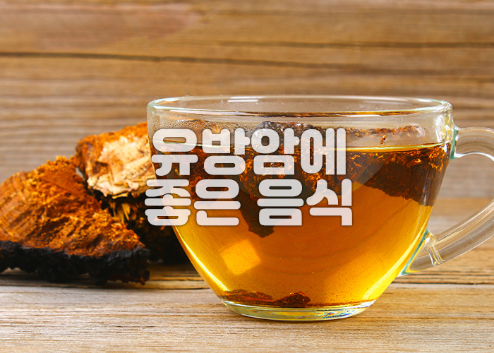 차가버섯차 이미지
