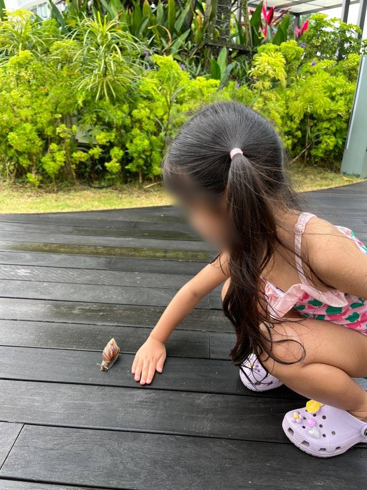 조호바루-레지던스-달팽이