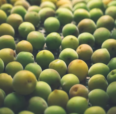 매실 효능과 부작용 고르는법 칼로리