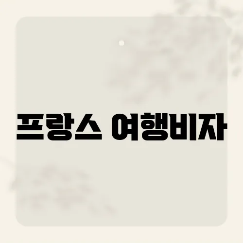 프랑스 여행비자, 지문 지옥 피하는 팁?