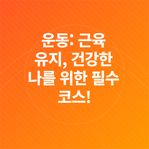 건강 관리 루틴_3