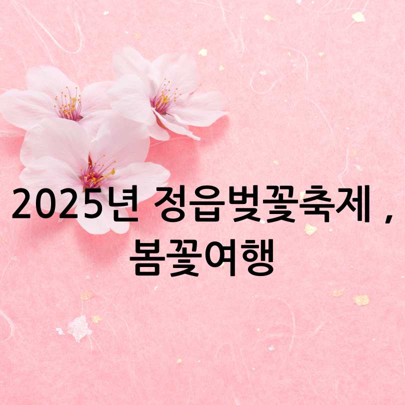 2025 정읍벚꽃축제