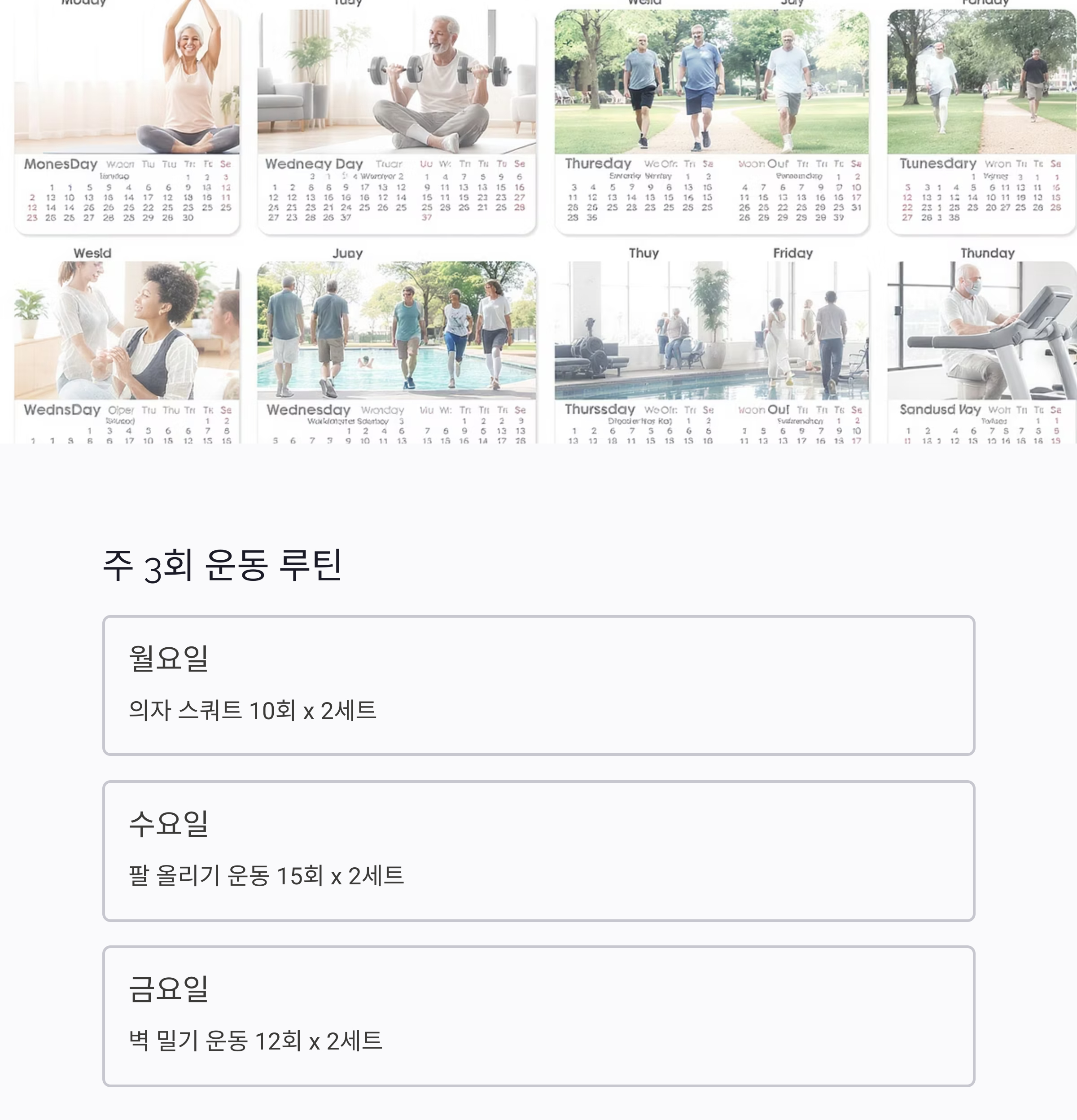 집에서도 따라하는 시니어 근력운동 프로그램 총정리