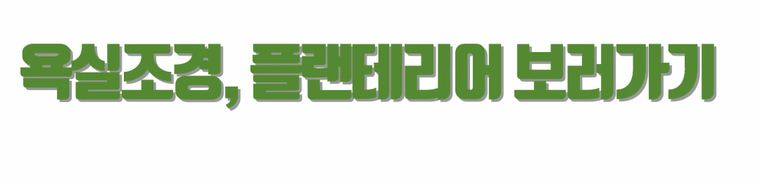플랜테리어