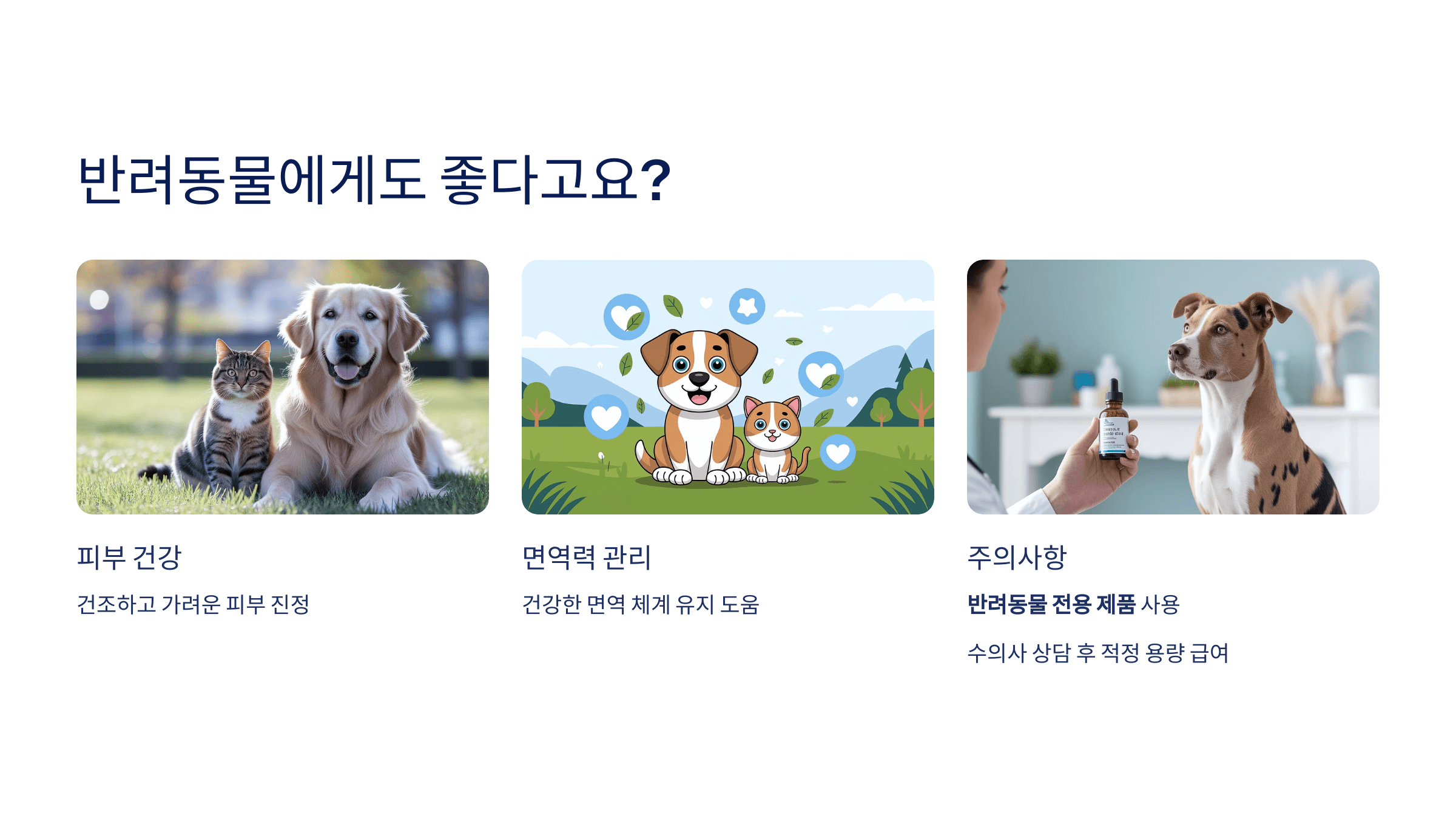 대마종자유와 관련된 사진입니다.