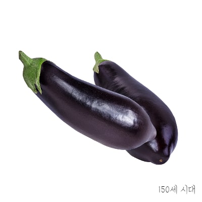 가지-2개