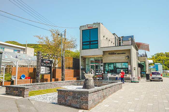 가을 섬^ 교동도, 대부도, 금오도, 조도, 추자도, 5개의 섬 여행