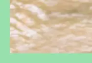 성주 모령머드축제