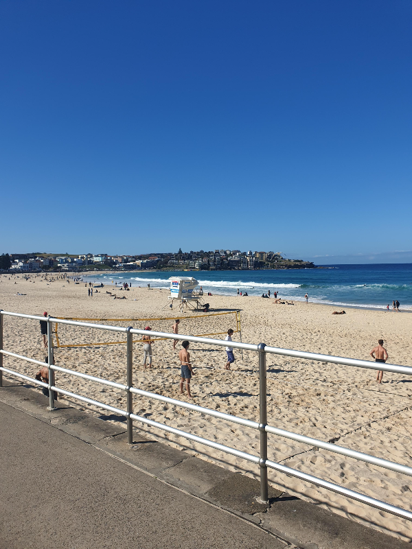 시드니 본다이비치(Bondi Beach)와 패딩턴 마켓에서 특별한 토요일 하루_본다이비치에서 발리볼 하는 사람들