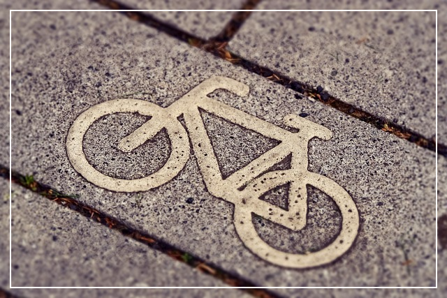 자전거-도로