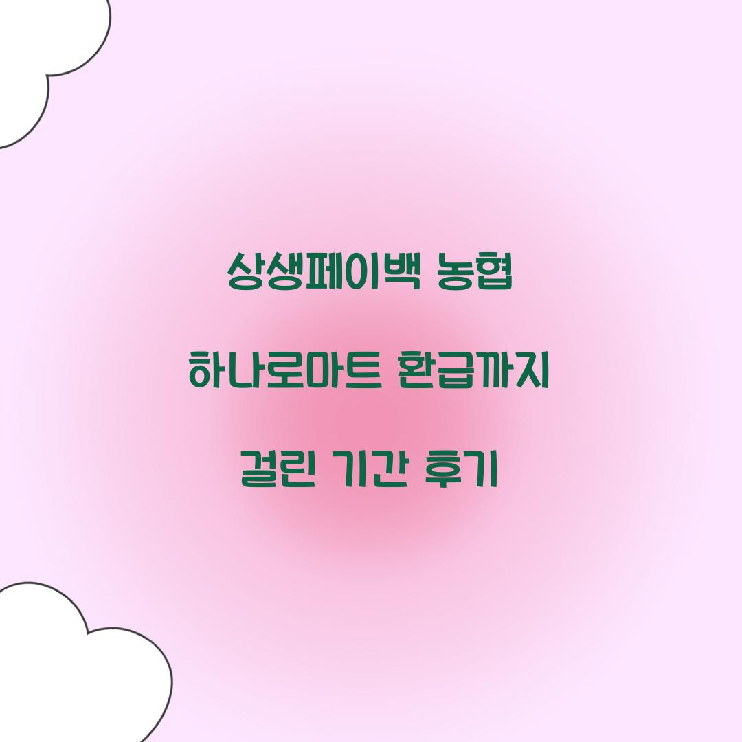 상생페이백 농협 하나로마트 환급까지 걸린 기간 후기