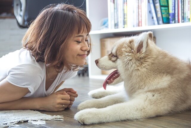 반려동물이 우리 건강에 미치는 영향
