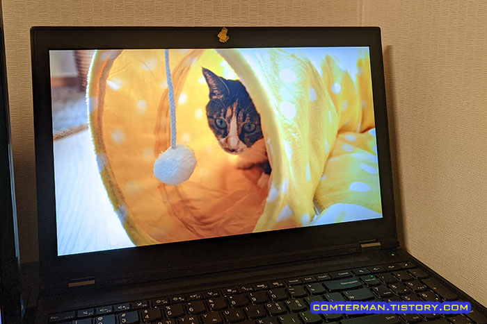 동영상 파일 화면 보호기