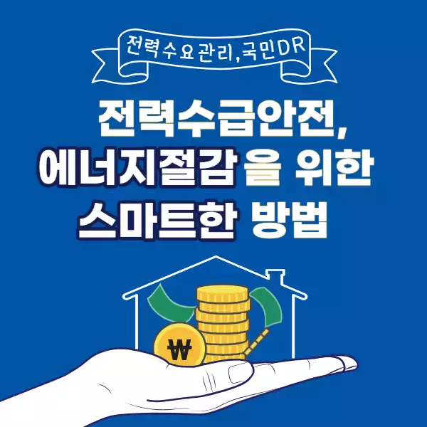 전력수요관리, 국민DR