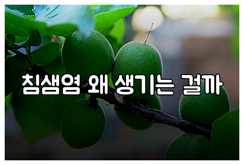 침샘염 왜 생기는 걸까