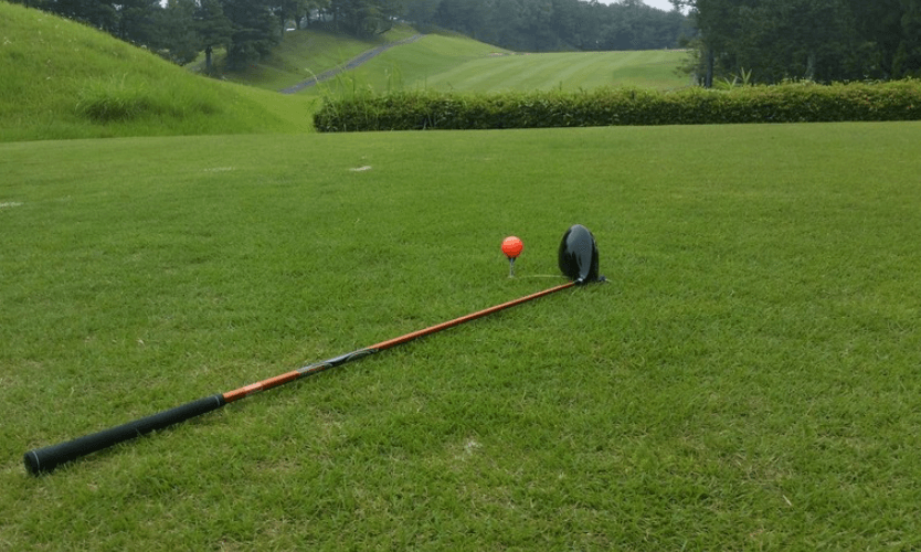 파크골프 페어웨이와 클럽, 공의 모습