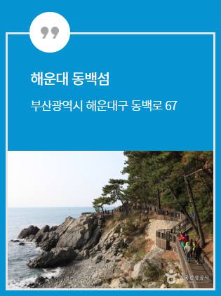 좀비런 부산 기본정보