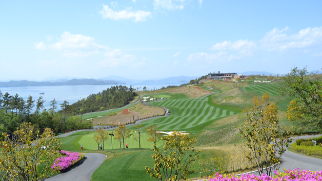 드비치 골프클럽