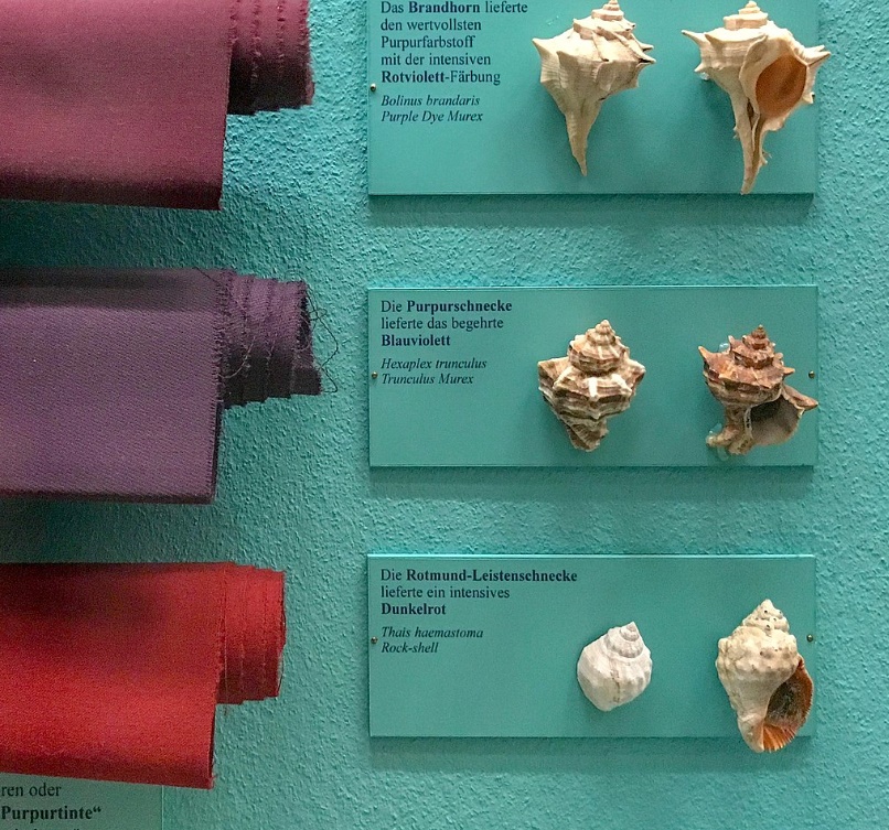 보라색 염색 직물과 해당 바다 달팽이 (출처 위키피디아)