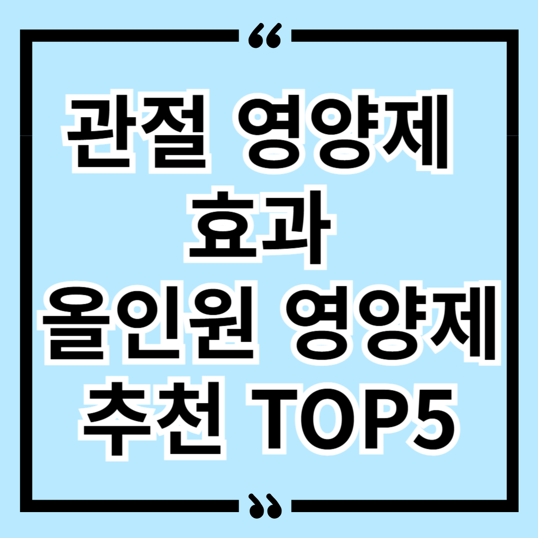 관절 영양제 효과 올인원 영양제 추천 TOP5