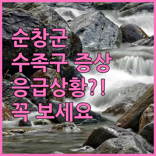 순창군 수족구 증상별 대처 방법 및 ..