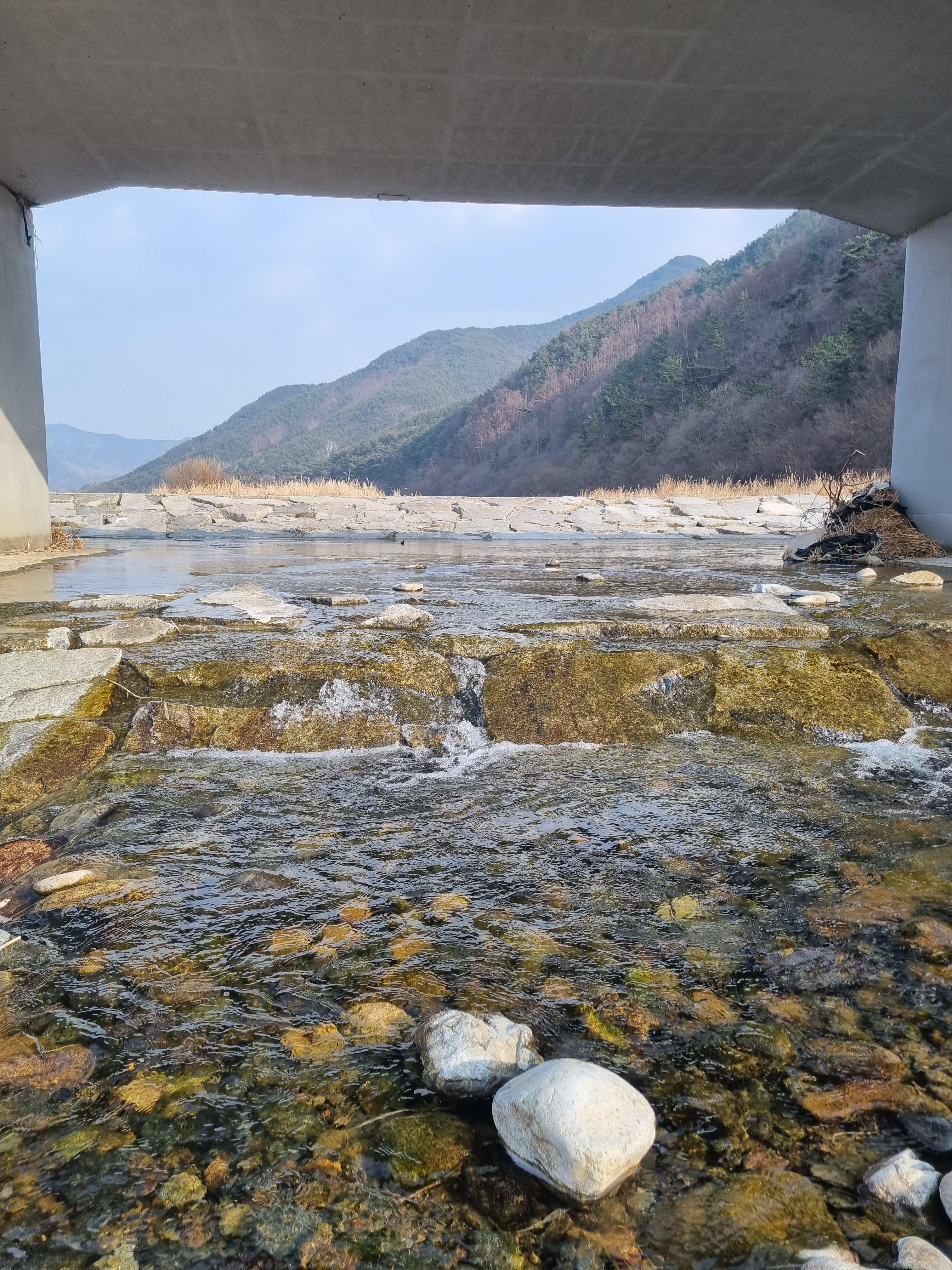 엠와이 힐링 캠핑장