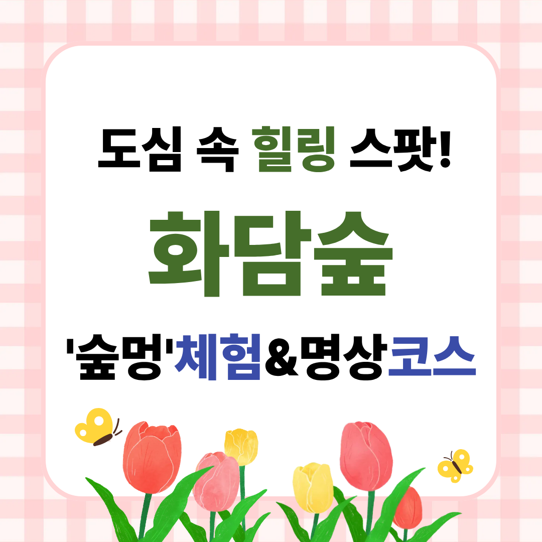 도심 속 힐링 스팟! 화담숲에서 만나는 특별한 '숲멍' 체험 & 명상 코스