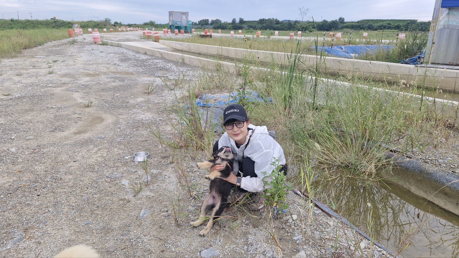 강아지 배개 배고 자는이유 5가지