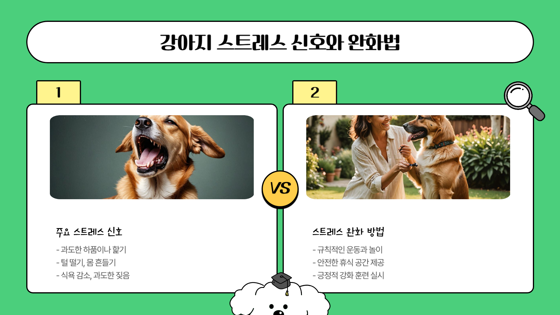 강아지의 행동 언어