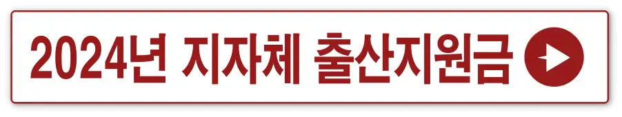 흰 상자 빨간테두리 안 빨간글씨-
2024년 지자체 출산지원금 옆 빨간 동그라미 안 흰 화살표