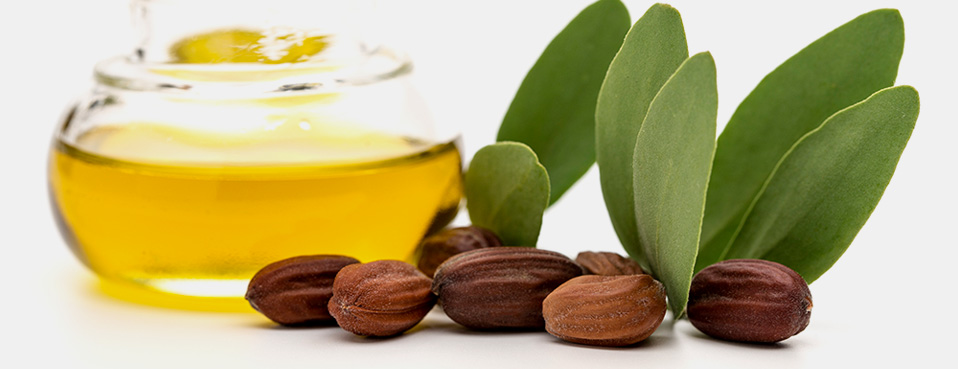 천연 오일의 종류와 효능