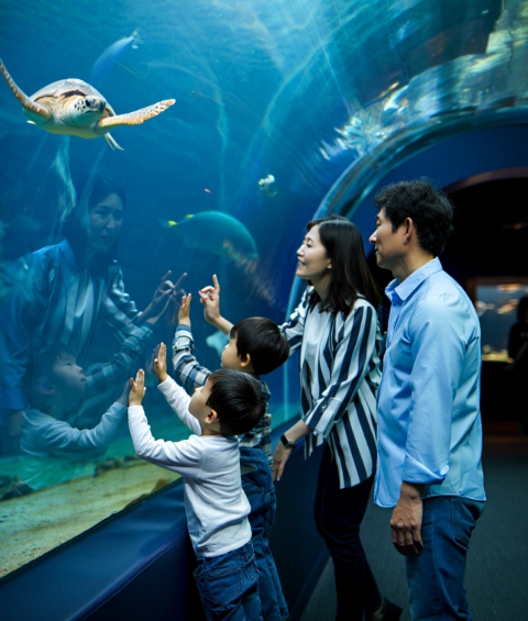 7월 장마 기간, 여름 휴가 갈만한 곳 전라도 실내 여행지 추천