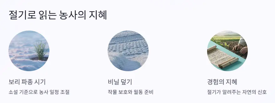 소설 농사 지혜