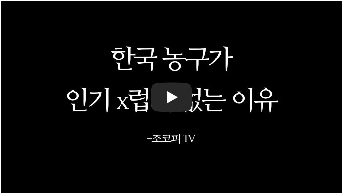 농구 유튜버 순위 TOP 10 8