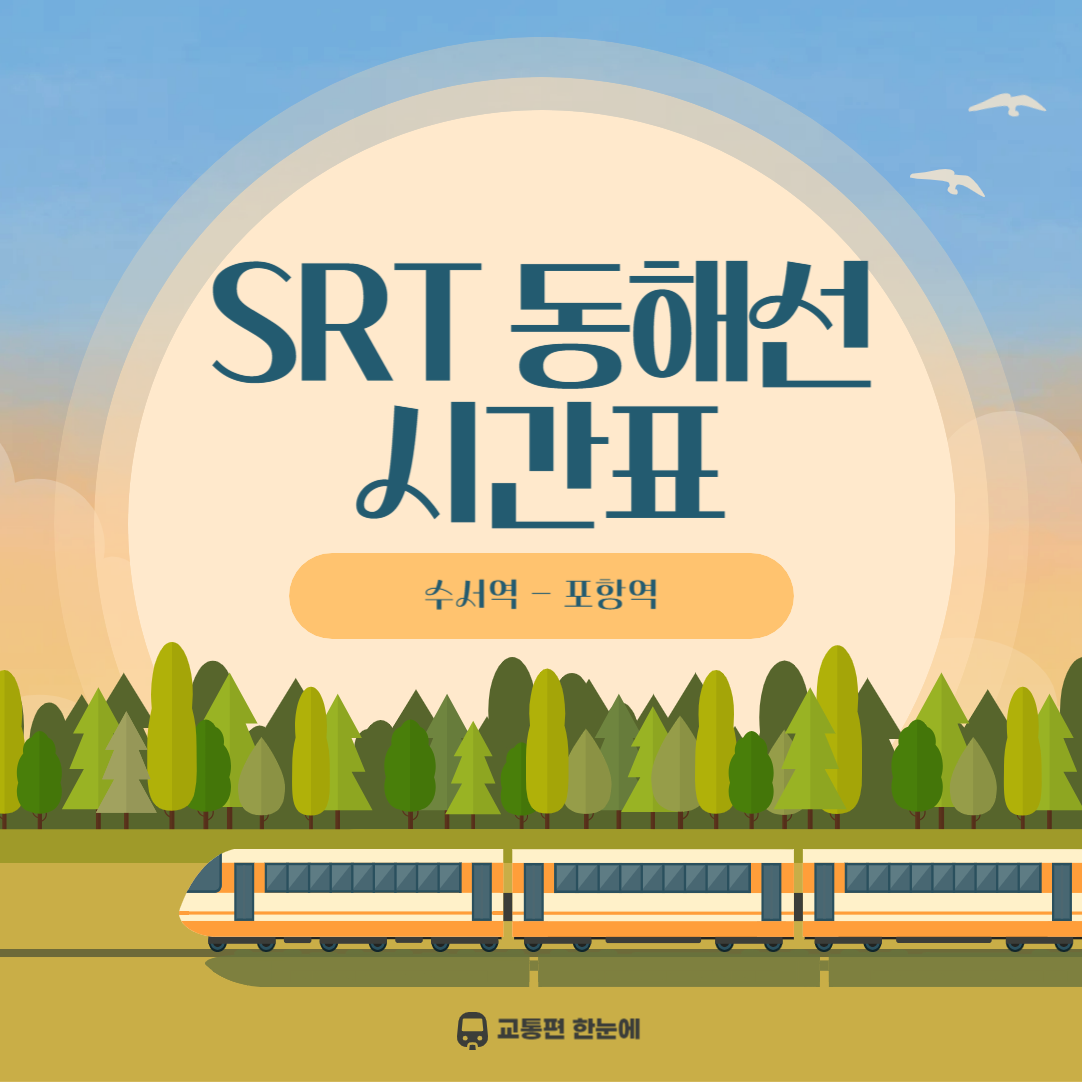 2025년 STR 동해선 시간표, 노선, 요금 및 포항역 주차까지 총정리