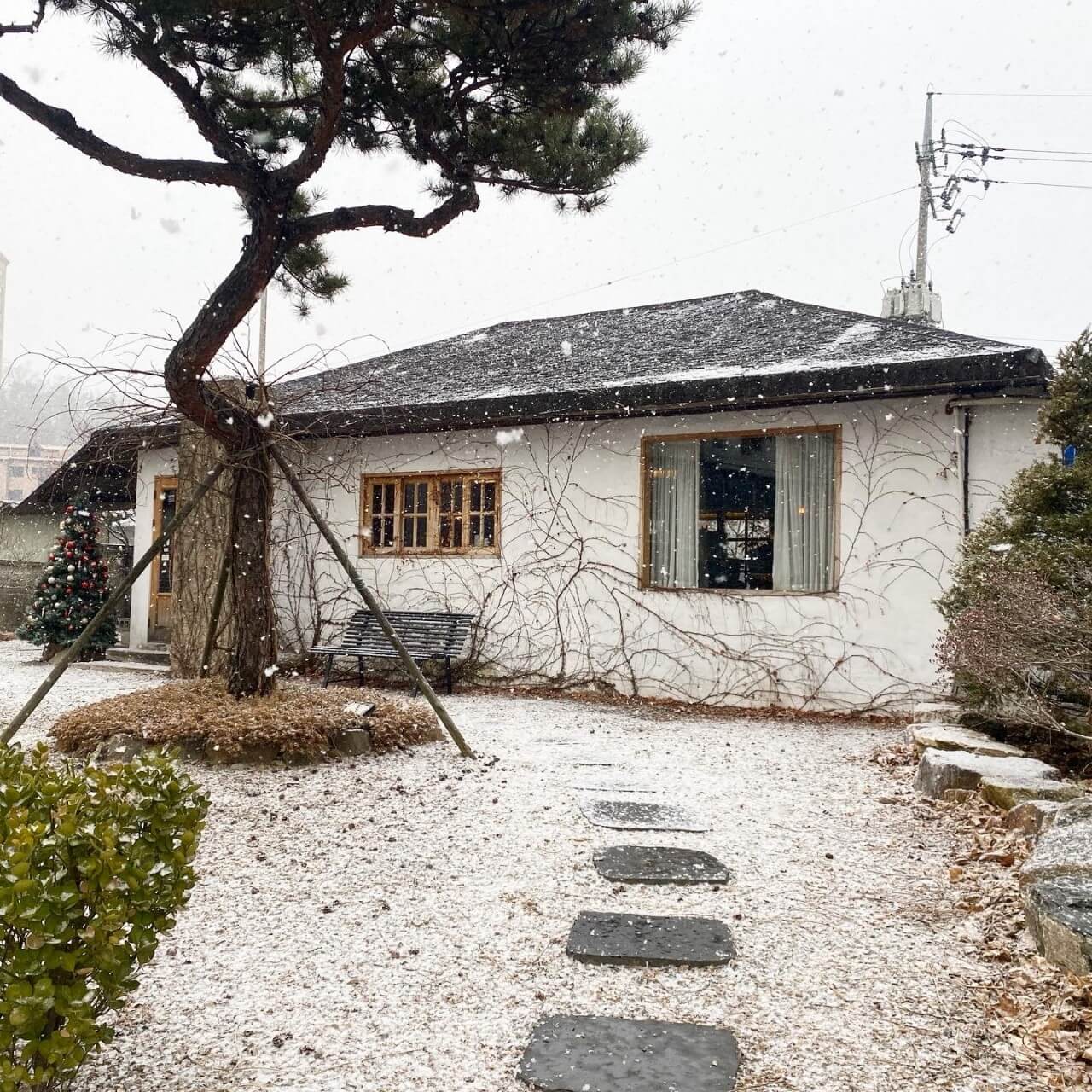 카페 서천