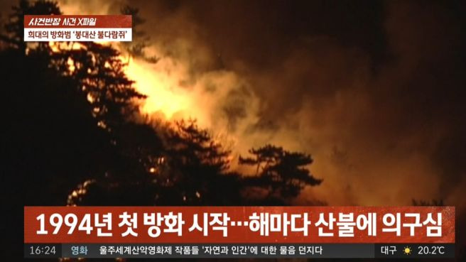 꼬꼬무 봉대산 불다람쥐